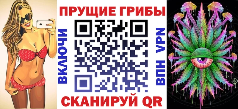 kraken онион  Судак  Псилоцибиновые грибы прущие грибы  наркота 